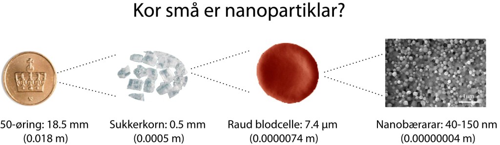 Nanostorleik
